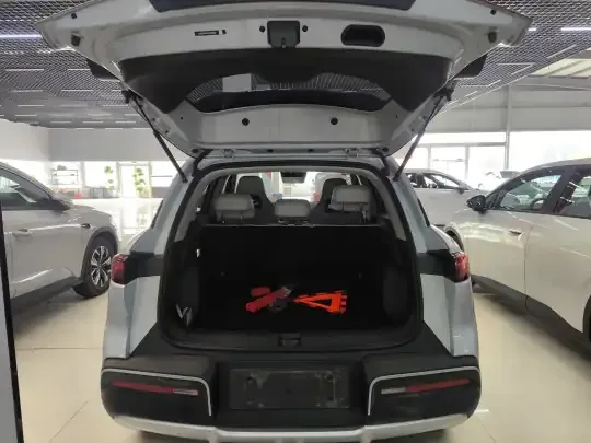 BYD Yuan UP 2025 (9100 км)