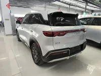 BYD Yuan UP 2025 (9100 км)