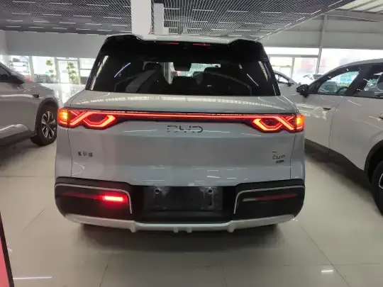 BYD Yuan UP 2025 (9100 км)