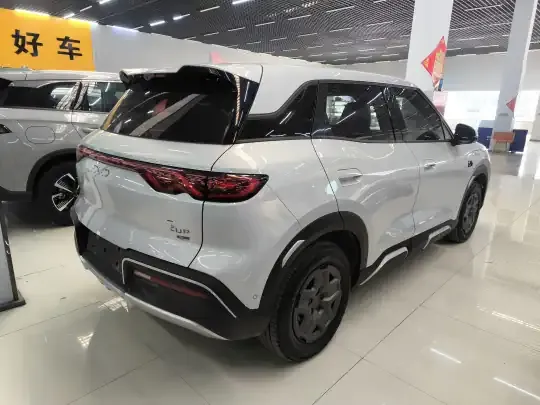 BYD Yuan UP 2025 (9100 км)
