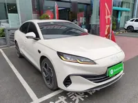 BYD Seal 06 New Energy 2025 (5699 км)