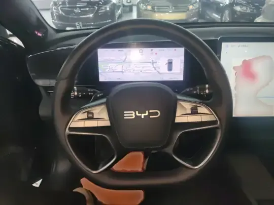 BYD Seal 2025 (4000 км)