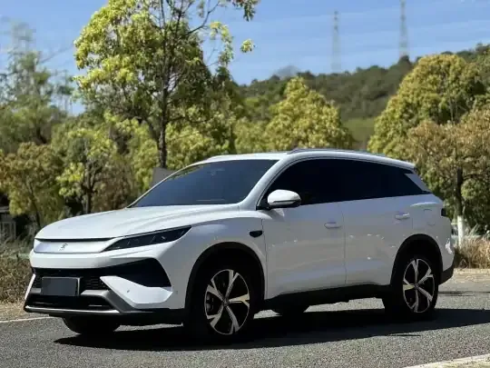 BYD Song Pro New Energy 2025 (2800 км)