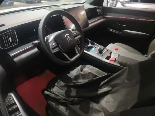 BYD Song Pro New Energy 2025 (2800 км)