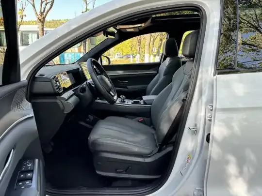 BYD Song Pro New Energy 2025 (2800 км)