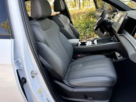 BYD Song Pro New Energy 2025 (2800 км)