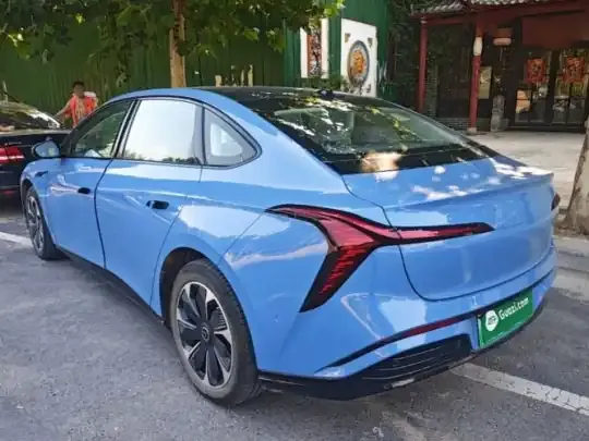 Hongqi Tiangong 05 2025 (19100 км)
