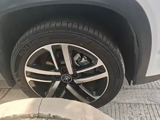 BYD Song L DM-i 2025 (5300 км)