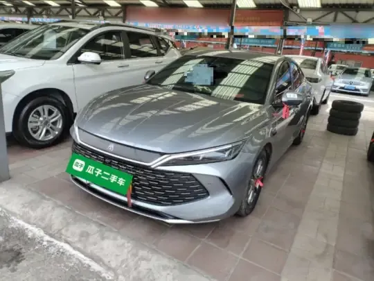BYD Qin L 2025 (18100 км)