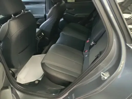 BYD Qin L 2025 (18100 км)
