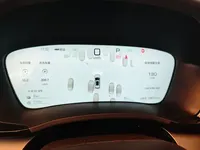 BYD Song PLUS New Energy 2025 (10900 км)