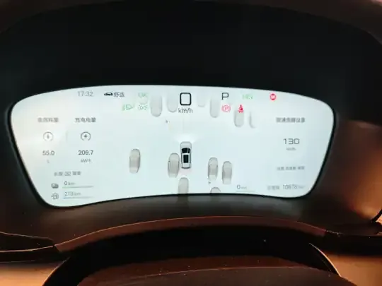 BYD Song PLUS New Energy 2025 (10900 км)