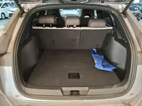 BYD Song PLUS New Energy 2025 (10900 км)