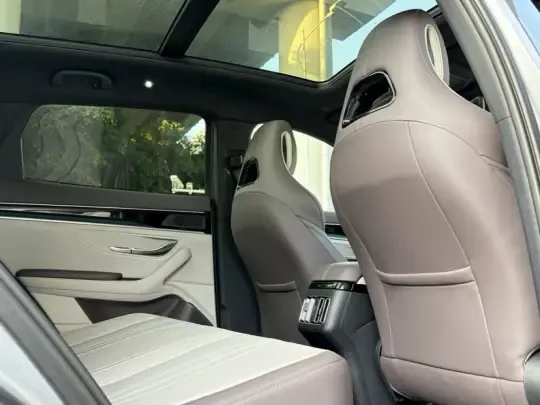 BYD Song PLUS New Energy 2025 (10900 км)