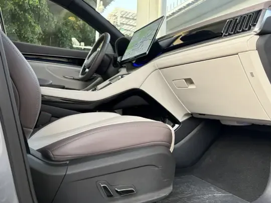 BYD Song PLUS New Energy 2025 (10900 км)