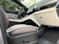 BYD Song PLUS New Energy 2025 (10900 км)