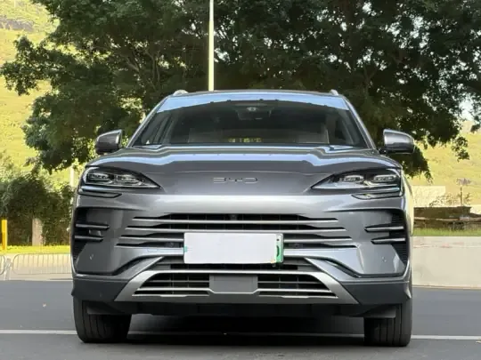 BYD Song PLUS New Energy 2025 (10900 км)