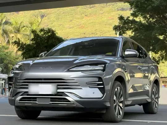 BYD Song PLUS New Energy 2025 (10900 км)
