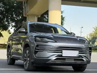 BYD Song PLUS New Energy 2025 (10900 км)