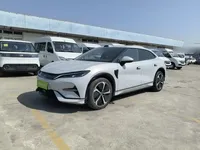 BYD Song L EV 2025 (17500 км)