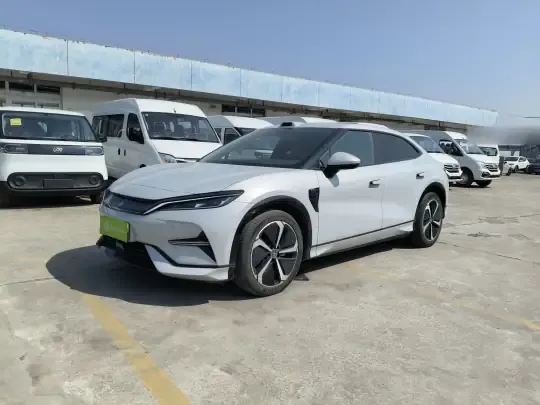 BYD Song L EV 2025 (17500 км)