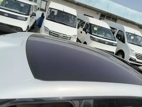 BYD Song L EV 2025 (17500 км)