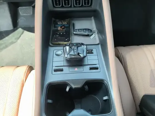 BYD Song L EV 2025 (17500 км)
