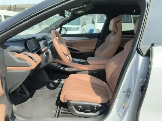 BYD Song L EV 2025 (17500 км)