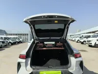 BYD Song L EV 2025 (17500 км)