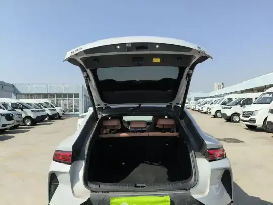 BYD Song L EV 2025 (17500 км)