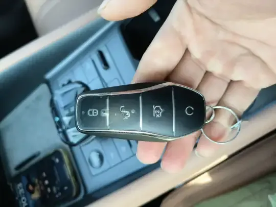 BYD Song L EV 2025 (17500 км)