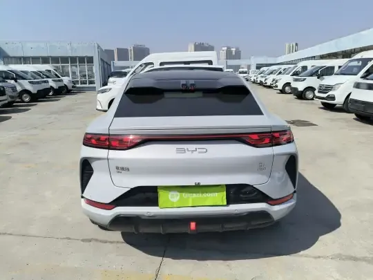 BYD Song L EV 2025 (17500 км)