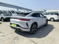BYD Song L EV 2025 (17500 км)