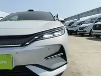BYD Song L EV 2025 (17500 км)