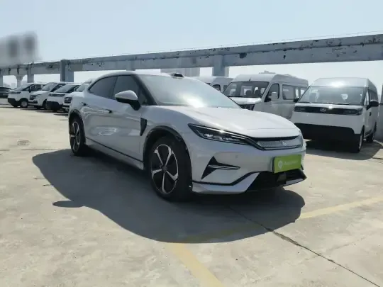 BYD Song L EV 2025 (17500 км)