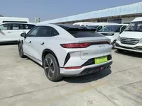 BYD Song L EV 2025 (17500 км)