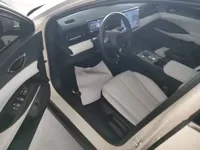 BYD Seal 06 New Energy 2025 (10900 км)