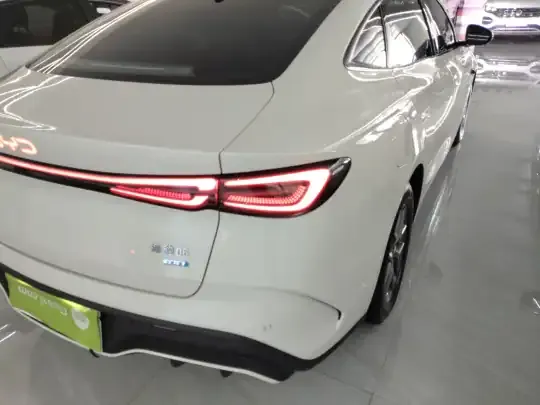 BYD Seal 06 New Energy 2025 (10900 км)