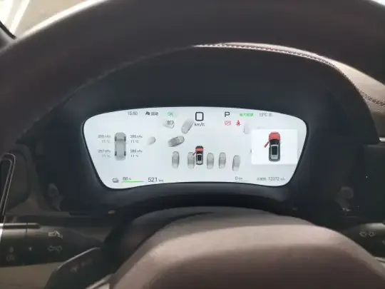 BYD Song PLUS New Energy 2025 (12400 км)