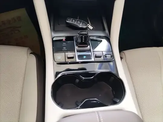 BYD Song PLUS New Energy 2025 (12400 км)