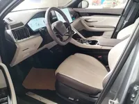 BYD Song PLUS New Energy 2025 (12400 км)