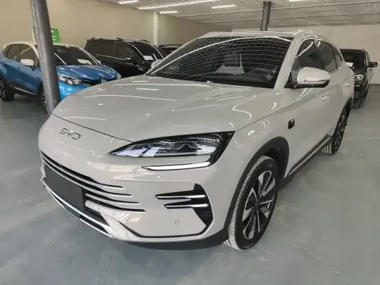 BYD Song PLUS New Energy 2025 (17300 км)