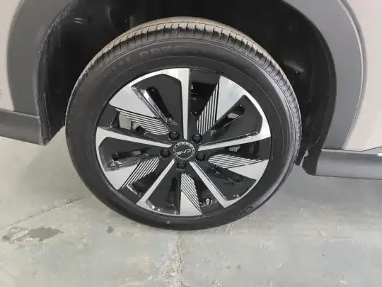 BYD Song PLUS New Energy 2025 (17300 км)