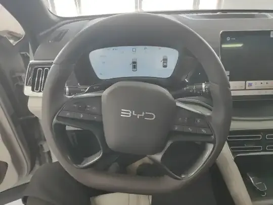 BYD Song PLUS New Energy 2025 (17300 км)