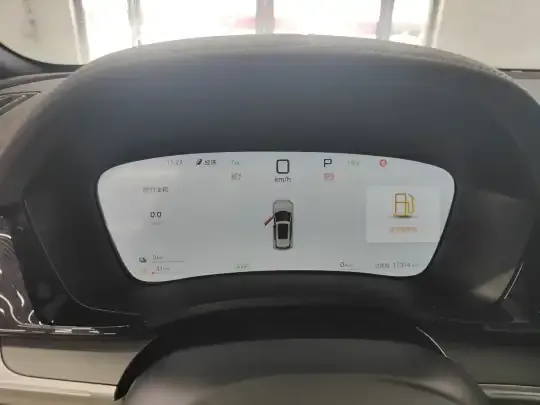 BYD Song PLUS New Energy 2025 (17300 км)
