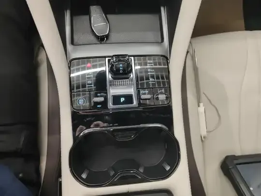 BYD Song PLUS New Energy 2025 (17300 км)