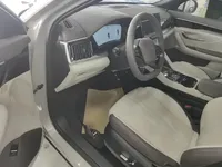 BYD Song PLUS New Energy 2025 (17300 км)