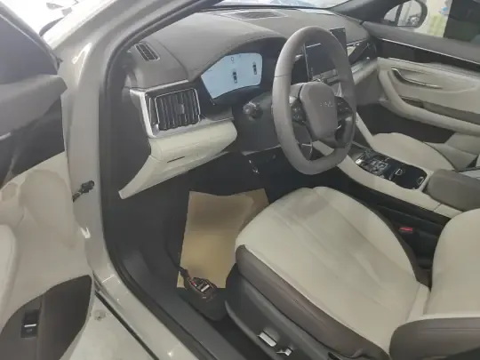 BYD Song PLUS New Energy 2025 (17300 км)