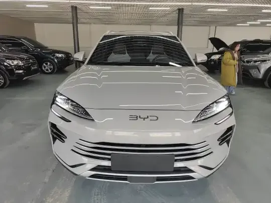 BYD Song PLUS New Energy 2025 (17300 км)