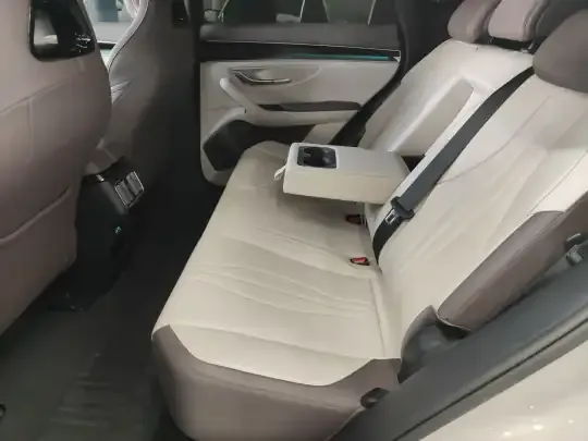 BYD Song PLUS New Energy 2025 (17300 км)